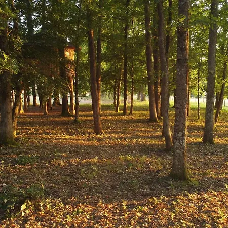 Eco-camping Le Bois De Cussac مكان تخييم *